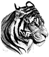 Black Tiger Face Tattoo