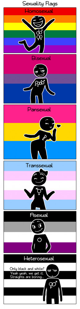 Fonte: http://humon.deviantart.com/art/Sexuality-Flags-282042997