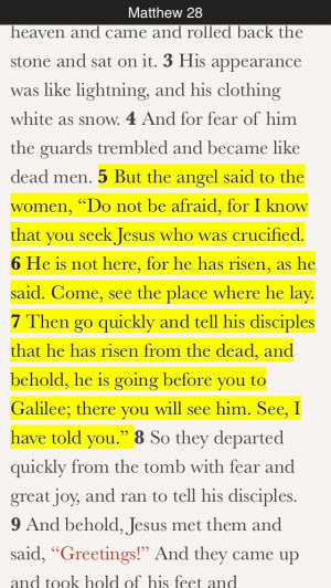 Pinned by Maddie Lucas