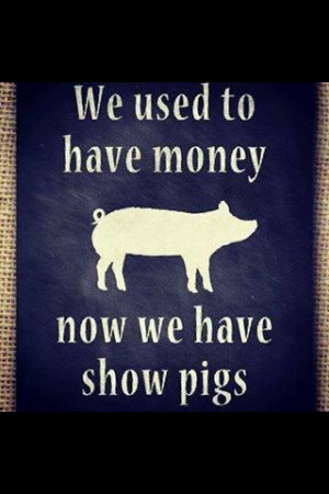 Love my Show Pigs..