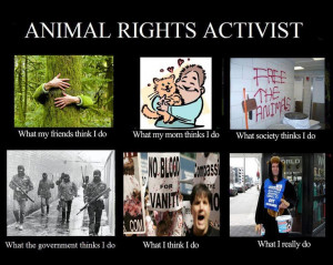 ... Animal Quotes, Animal Cruelty, Vegan Life, Animal Activist, Animal