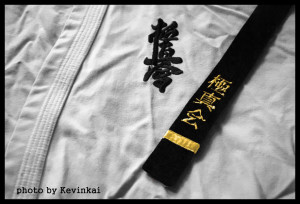 Kyokushin Wallpaper Wallsave