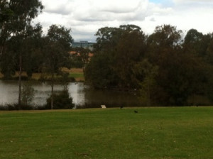 swings slides play family fun picnic lake water picnic tables