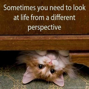 Sometimes you have to look at life from different perspectives and see ...