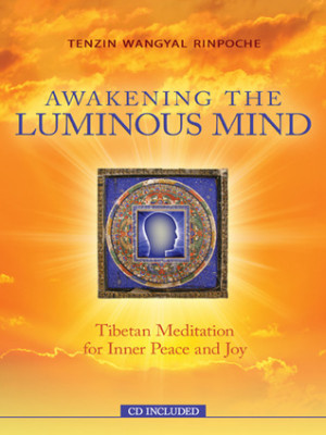 ... Mind: Tibetan Meditation for Inner Peace and Joy” as Want to Read