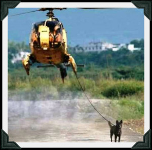 Funny Helicopter