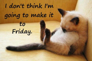 Pinned by Mathilda De Jong Scheepers