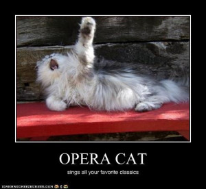 Opera cat sings your favorites