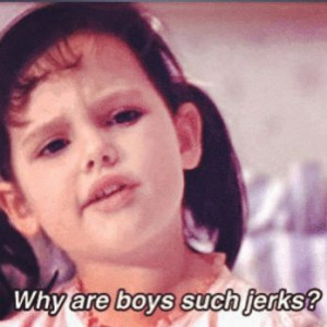 Boys Are Jerks Quotes Why are boys such jerks?