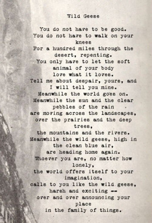 poem by Mary Oliver via | resolute woman