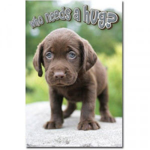 Great Dog Posters With Sayings And Quotes