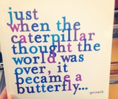 the very hungry caterpillar