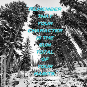Rick Warren Quote - Character - forrest
