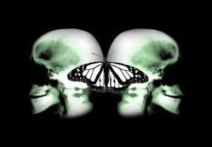 Butterfly Skulls Effect Image
