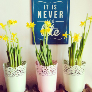 Daffodils at home quote