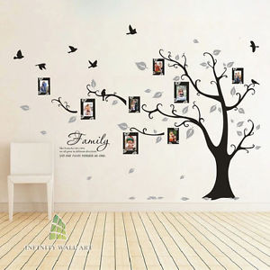 ... -Tree-Bird-Photo-Frame-Vinyl-Nursery-Wall-Quotes-Wall-Stickers-PD508