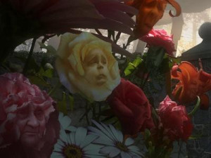 Lessons from 'Alice in Wonderland' Characters