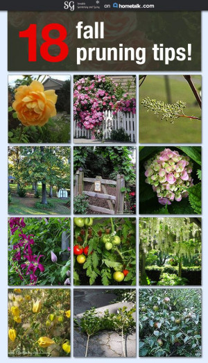 ... Flower For Fall Gardens, Sensibl Gardens, Gardens Idea, Gardening, Cut