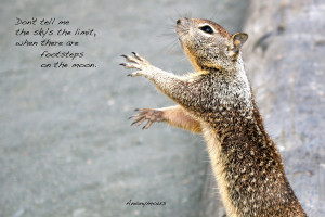 squirrel reaching out, paws visible with a quote: