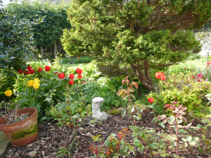 ... sheltered garden and patio area with garden furniture 3072x2304 Garden