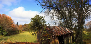 Remembering The Past