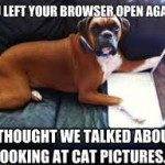 sayings funny dog pictures boxers very funny dog pictures funny dog ...