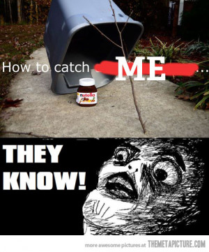 Funny photos funny nutella trap bucket twig