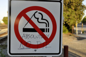 funny, no smoking, pie, quote, sign, smoking