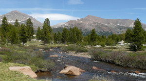 High Country Mountain Stream Iii picture