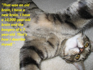 Kittens Quotes