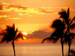 função do artista é valorizar a consciência