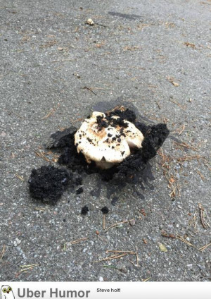 On my way home today I saw a mushroom that had grown through the ...