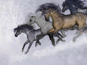 homepage horse wall murals inspirations white horse wall murals photos