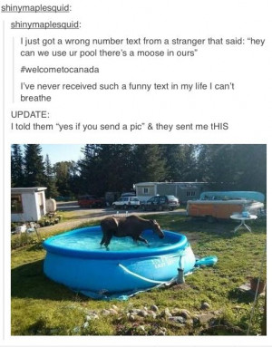 Canada Eh, Ahaha Canada, Funny Stuff, So Funny, Vintage Funny Quotes ...