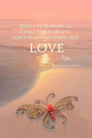 ... as short as a half taken breath, don't plant anything but love ~ Rumi