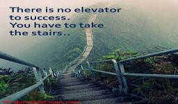 No-Elevator-To-Success--You-Have-To-Take-The-Stairs-Quote----Stairway ...