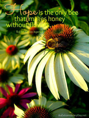 Honey Bee and Flower