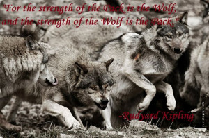 wolf spirit graphic spirit wolf sayings spirit wolf sayings spirit owl ...