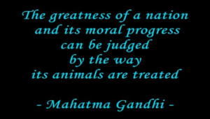 Animal Cruelty Quotes Gandhi