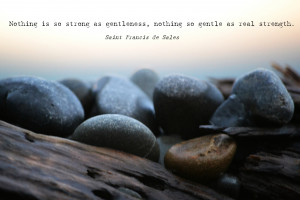 Nothing is so strong as Gentleness