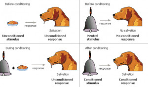Archived OLDT :: Harnessing the Power of Pavlov