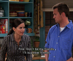 Go Back > Pix For > Monica Geller Quotes About Cleaning