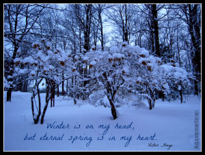 Winter Is On My Head, But Eternal Spring Is In My Heart