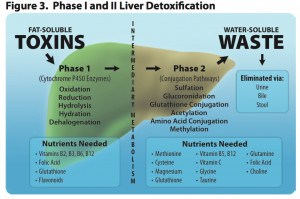 Natural Liver Detox: How to Support Natural Liver Detoxification