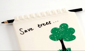 Tree Plantation Cartoon