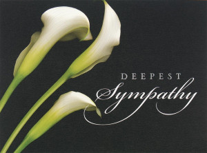 ... Greeting Cards > Sympathy Cards > White Callalily Sympathy Card