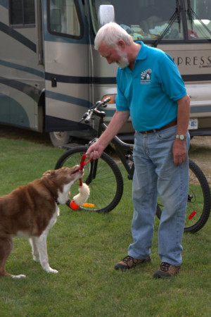 Dog Agility Training Videos