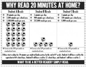 Why Read 20 Minutes? Pinterest-Inspired Visual!