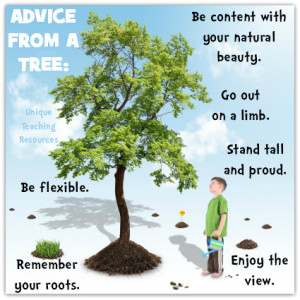 advice-from-a-tree.jpg