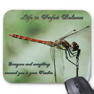 dragonfly sayings and quotes